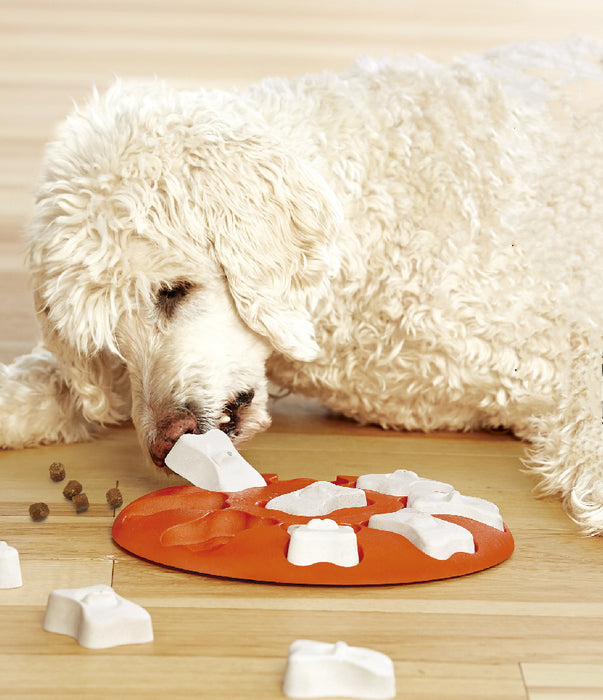 Orange Plastic Leak Food Dog Toy | Treat Dispensing Pet Puzzle Toy
