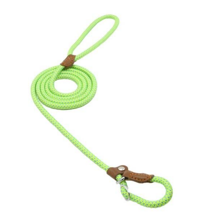 Nylon Pup Set for Dogs Durable & Comfortable