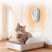 Pet Odor Eliminator for Litter Boxes  Fresh & Clean