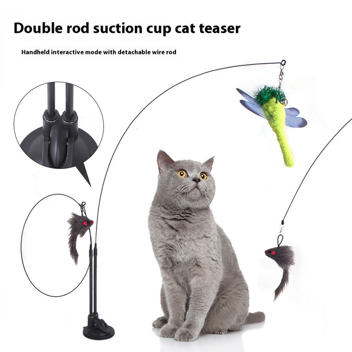 Cat Sucker Teaser Toy for Fun Indoor Play