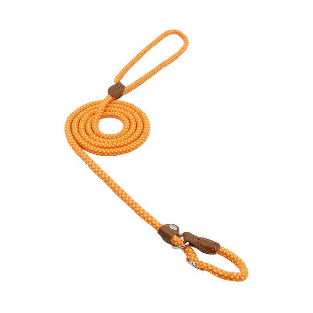 Nylon Pup Set for Dogs Durable & Comfortable