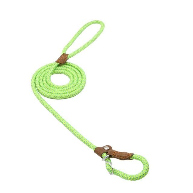 Nylon Pup Set for Dogs Durable & Comfortable
