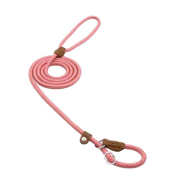 Nylon Pup Set for Dogs Durable & Comfortable