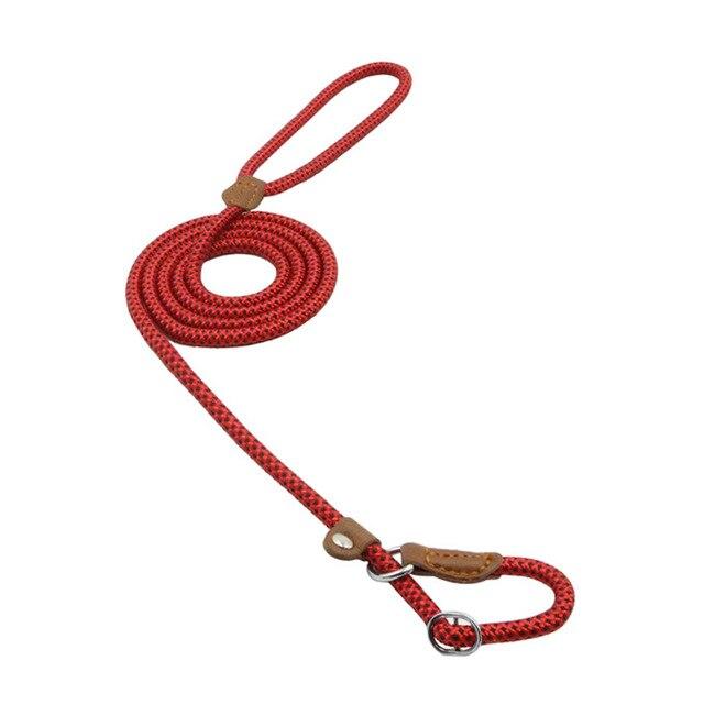 Nylon Pup Set for Dogs Durable & Comfortable