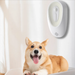 Pet Odor Eliminator for Litter Boxes  Fresh & Clean