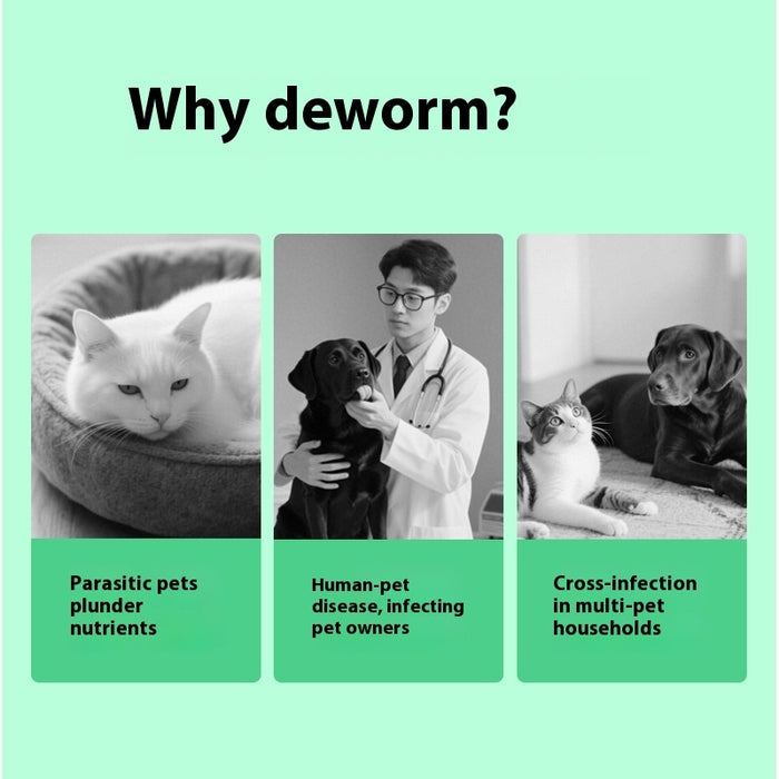 Pet Itching Relief Health Care Products