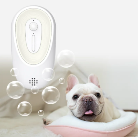 Pet Odor Eliminator for Litter Boxes  Fresh & Clean