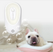 Pet Odor Eliminator for Litter Boxes  Fresh & Clean
